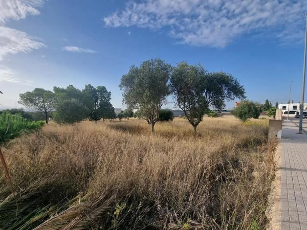 Terreno en calle d'Oslo