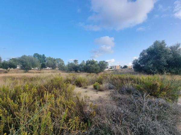 Terreno en calle d'Oslo