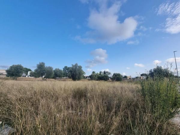 Terreno en calle d'Oslo