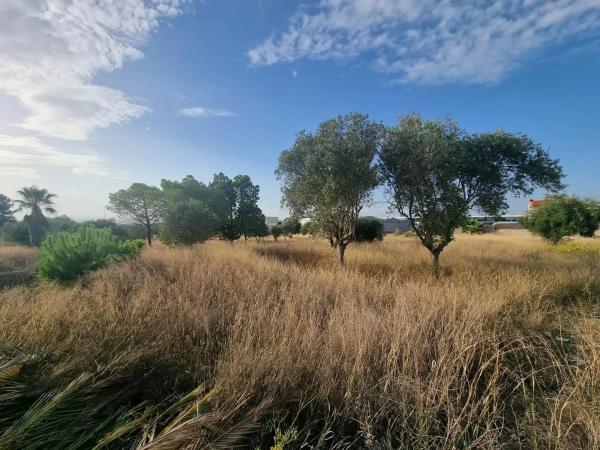 Terreno en calle d'Oslo
