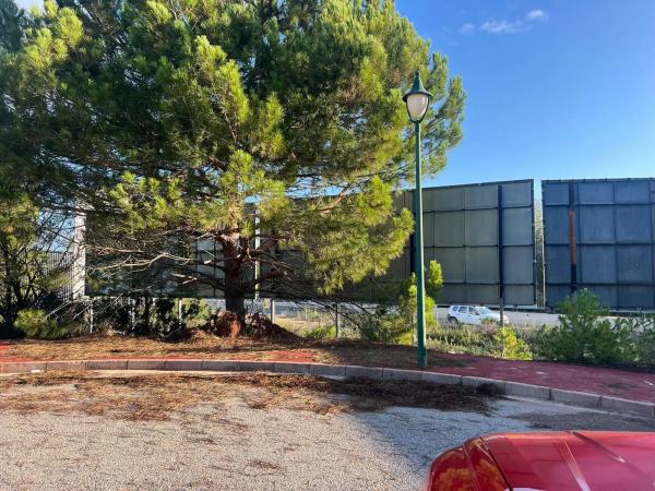 Terreno en calle Senyoreta, 4