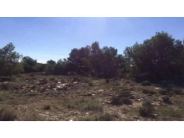 Terreno en Polígono 16