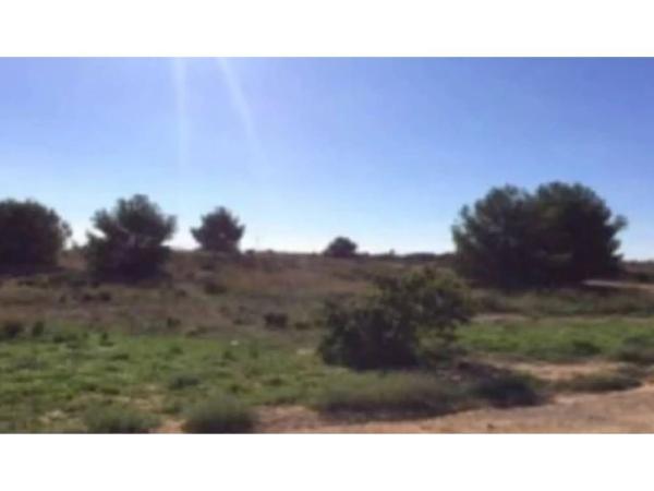 Terreno en Polígono 16