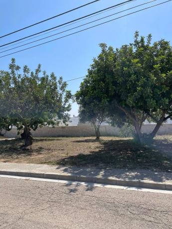 Terreno en calle Paterna San Lázaro, 17