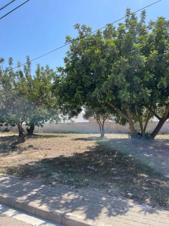 Terreno en calle Paterna San Lázaro, 17
