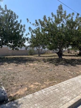 Terreno en calle Paterna San Lázaro, 17