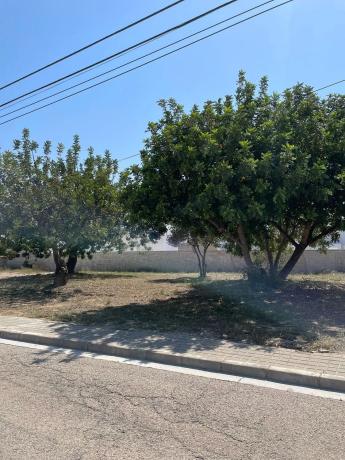 Terreno en calle Paterna San Lázaro, 17