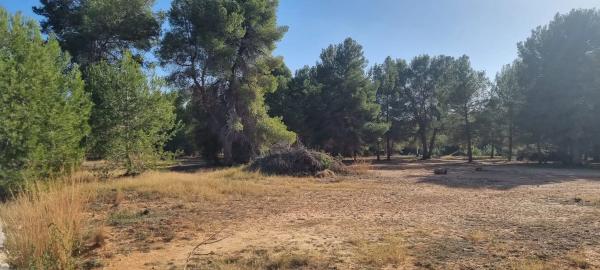 Terreno en Arrabal Sector Suzr-1, 21