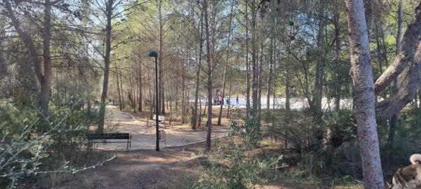 Terreno en Arrabal Sector Suzr-1, 21