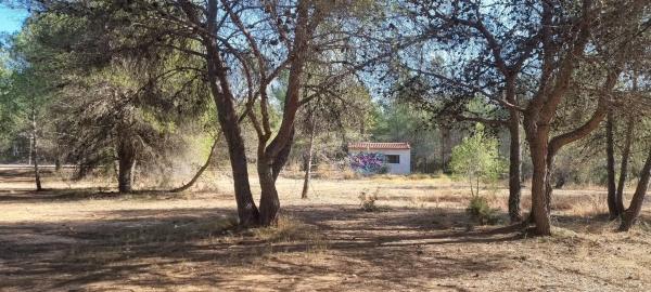 Terreno en Arrabal Sector Suzr-1, 21