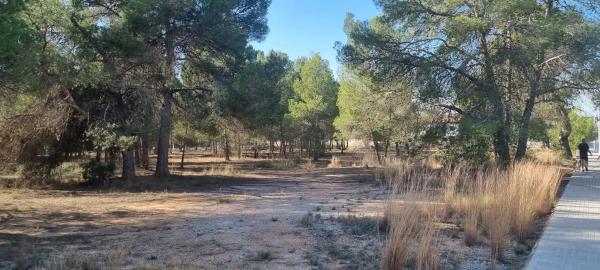 Terreno en Arrabal Sector Suzr-1, 21