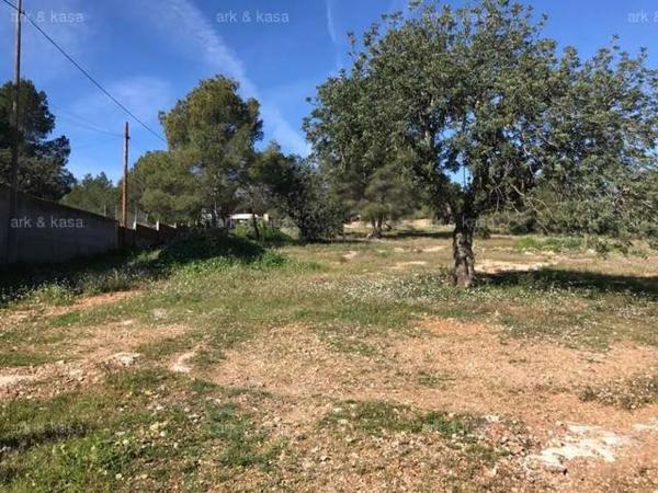 Terreno en Núcleo Urbano
