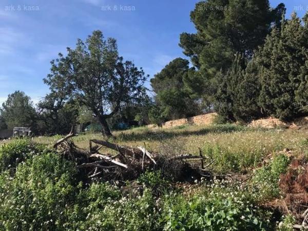 Terreno en Núcleo Urbano