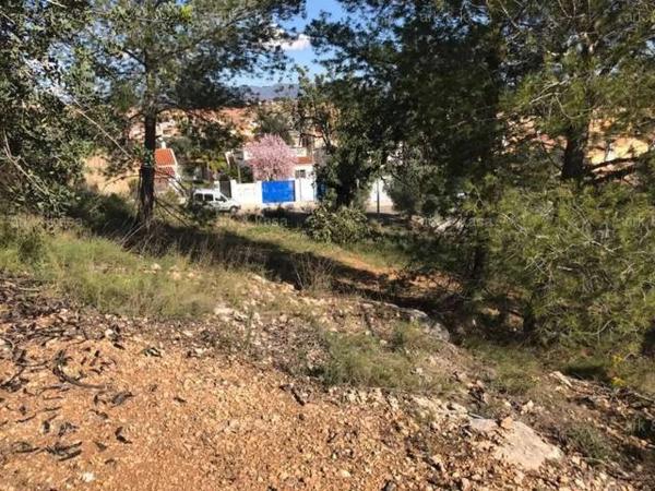 Terreno en Núcleo Urbano