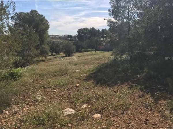 Terreno en Núcleo Urbano