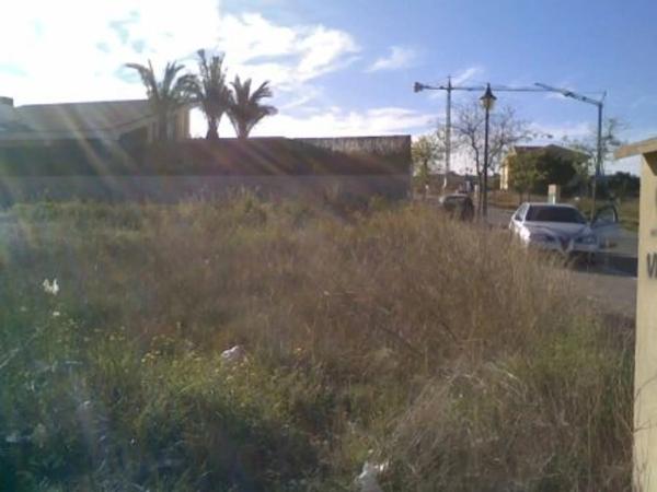 Terreno en calle Cotoliu