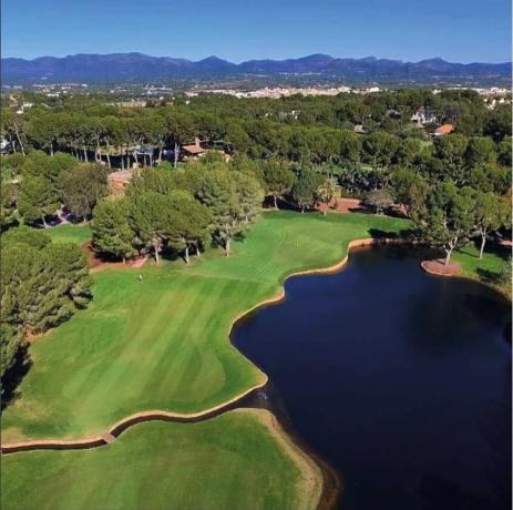 Terreno en calle Cotoliu