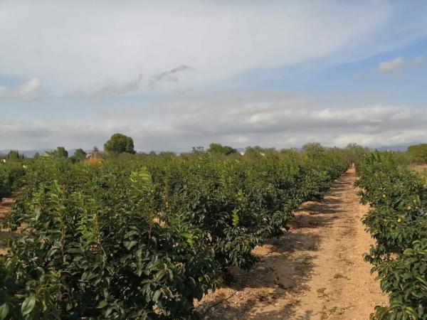 Terreno en Poliogono 167, 118 b