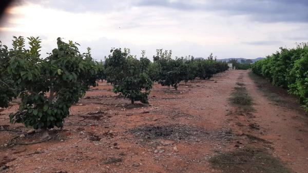 Terreno en Poliogono 167, 118 b