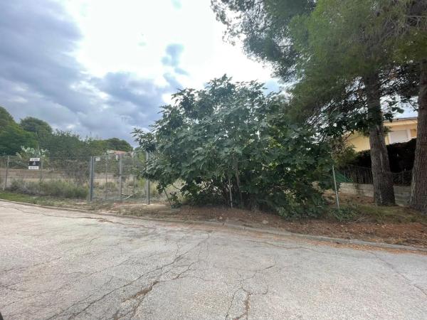 Terreno en calle Número 12 San Gerardo