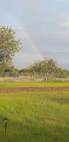 Terreno en plaza de la Pinada, 1