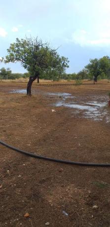 Terreno en plaza de la Pinada, 1