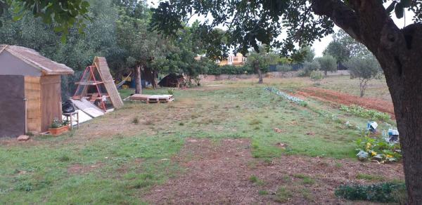 Terreno en plaza de la Pinada, 1