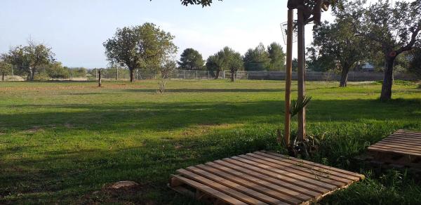 Terreno en plaza de la Pinada, 1