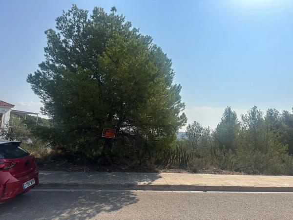 Terreno en calle Oliveres