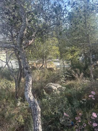 Terreno en calle Oliveres