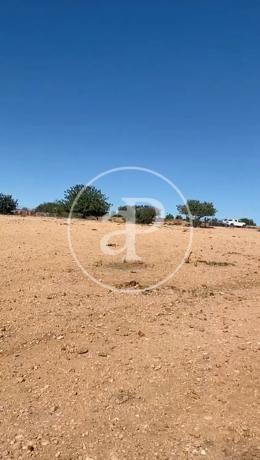 Terreno en Partida Balsa Blanca 2