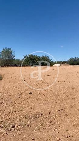 Terreno en Partida Balsa Blanca 2