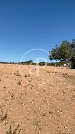 Terreno en Partida Balsa Blanca 2