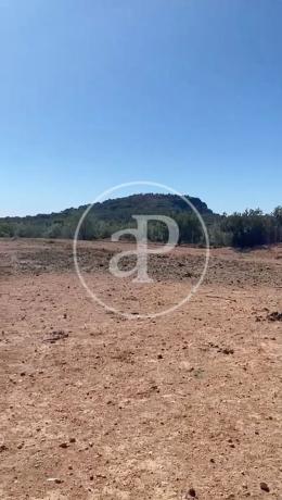 Terreno en Partida Balsa Blanca 2