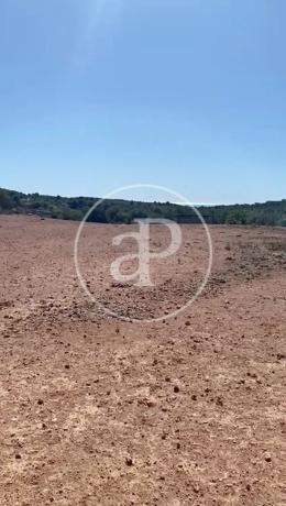 Terreno en Partida Balsa Blanca 2