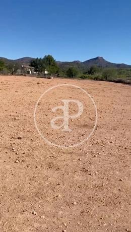 Terreno en Partida Balsa Blanca 2