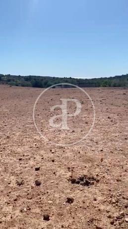 Terreno en Partida Balsa Blanca 2