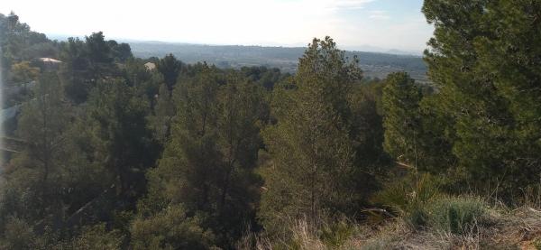 Terreno en Urbanización la lloma en Olocau, 37