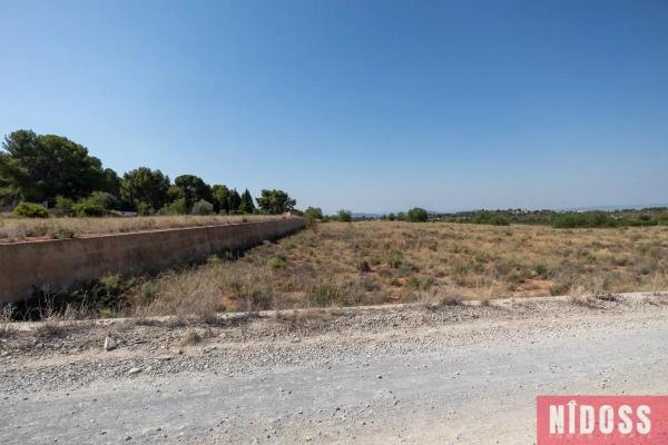 Terreno en Lugar Sra-28 Coto del Catala, 1 f