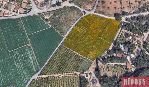 Terreno en Lugar Sra-28 Coto del Catala, 1 f