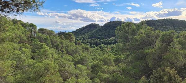 Terreno en avenida de los valles, 22