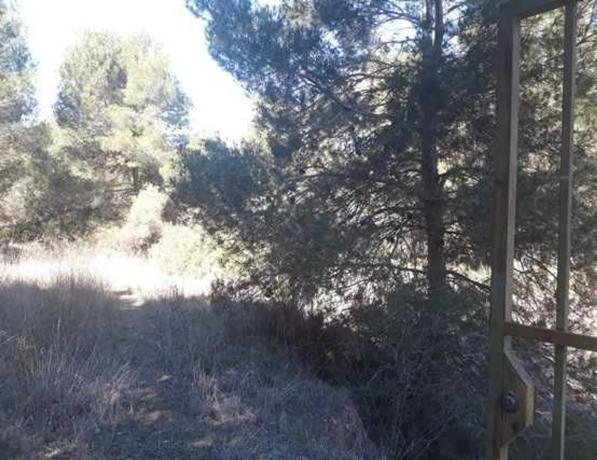 Terreno en Les Creuetes Poligon 38