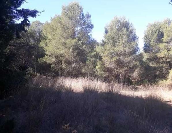 Terreno en Les Creuetes Poligon 38