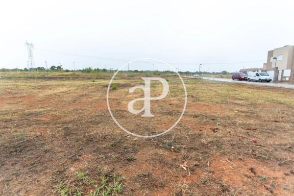 Terreno en avenida Constitución