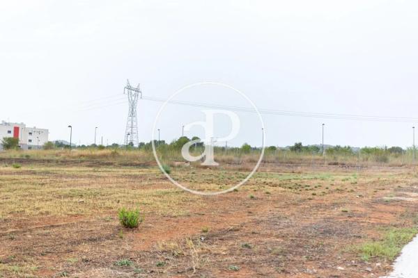 Terreno en avenida Constitución