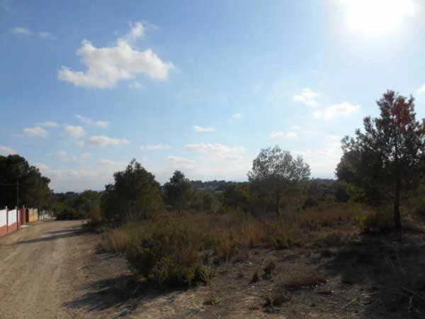 Terreno en calle Baixada del Taronger