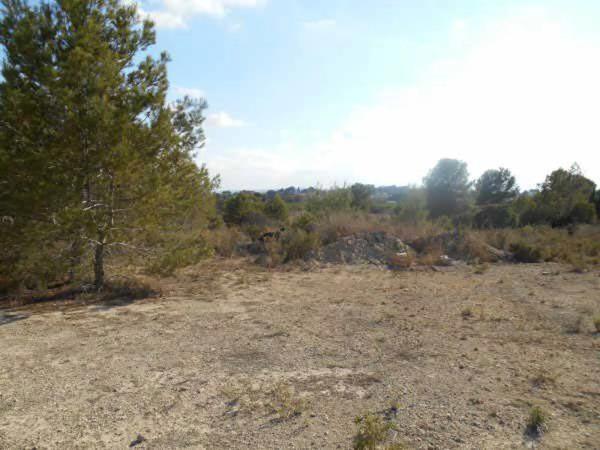 Terreno en calle Baixada del Taronger