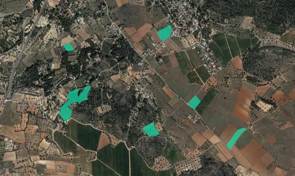 Terreno en camino de Horquera