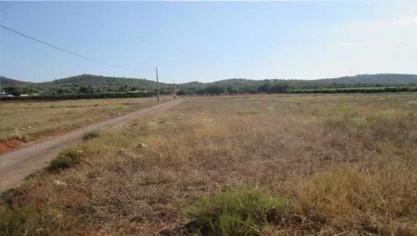 Terreno en camino de Horquera