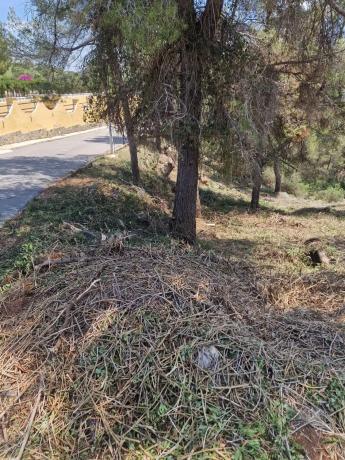 Terreno en calle Dieciseis, 16